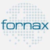 fornax logo image