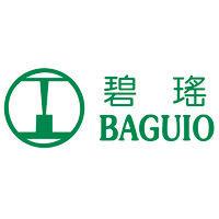 baguio green group limited logo image