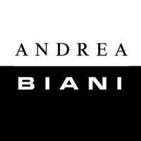 andrea biani south island limited logo image