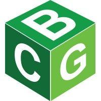 banes capital group, llc logo image