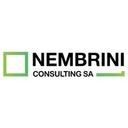 logo of Nembrini Consulting Sa