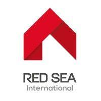 red sea international - rsi logo image