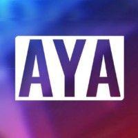 american youth association logo image