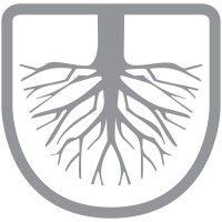 asisa academy logo image