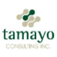 tamayo consulting, inc. logo image