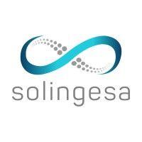 solingesa logo image