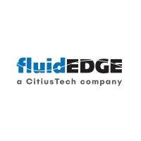 fluidedge consulting - a citiustech company logo image