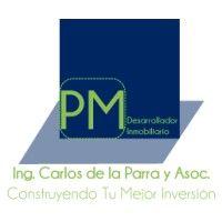 pm desarrollador inmobiliario logo image