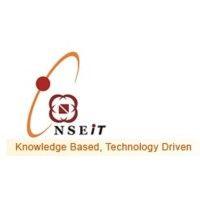 nse.it limited logo image