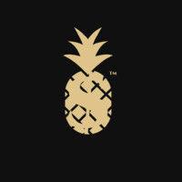 the million dollar pineapple™ logo image