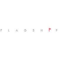 flagship agency logo image