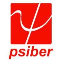 psiber data systems logo image