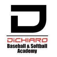 dichiaro baseball & softball academy