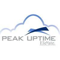 peak uptime logo image