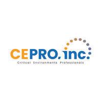 critical environments professionals, inc logo image