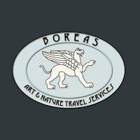 boreas art & nature travel services logo image