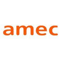 amec measurement and evaluation logo image