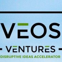 veos ventures, s.l. logo image