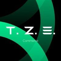 t.z e-commerce ltd logo image