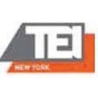 tax executives institute (tei) – new york chapter logo image