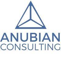 anubian consulting logo image