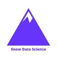 snow data science logo image