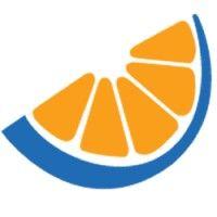 blue tangerine logo image