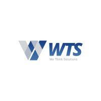 wts-we think solutions logo image