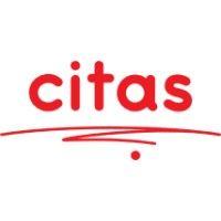 citas - consulting and it technology services logo image