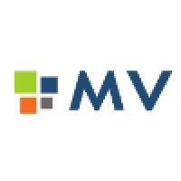 mv servicios (mv s.a.)