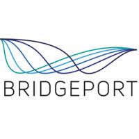 bridgeport consulting, llc