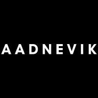 aadnevik logo image