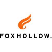 foxhollow technologies logo image