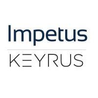 impetus consulting group (now keyrus epm americas) logo image