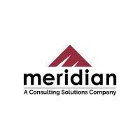 meridian technologies logo image