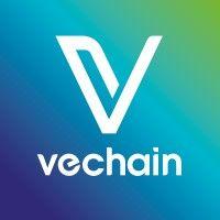 vechainofficial logo image