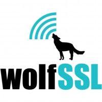 wolfssl logo image