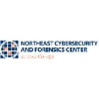 northeast cybersecurity and forensics center logo image