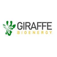 giraffe bioenergy -  a  venture in residence at delta40 studio