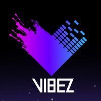 vibez logo image