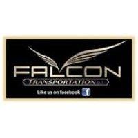 falcon transportation llc logo image