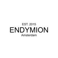 endymion amsterdam logo image