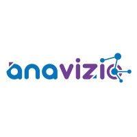 anavizio logo image