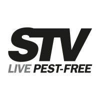 stv international ltd