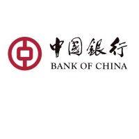 bank of china turkey logo image