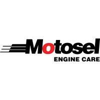 motosel industrial group inc. logo image