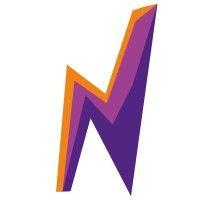 namsor logo image