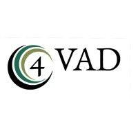 4vadexperts sas logo image