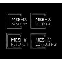 mesh® academy logo image