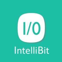 intellibit logo image